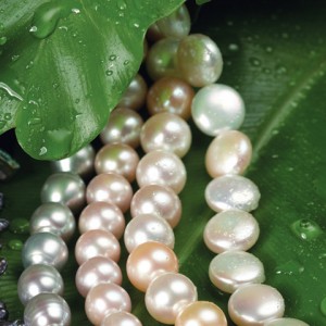 Pearls For All Styles